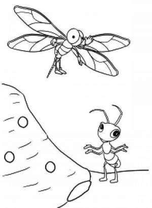 Раскраска стрекоза и муравей #19 #513141