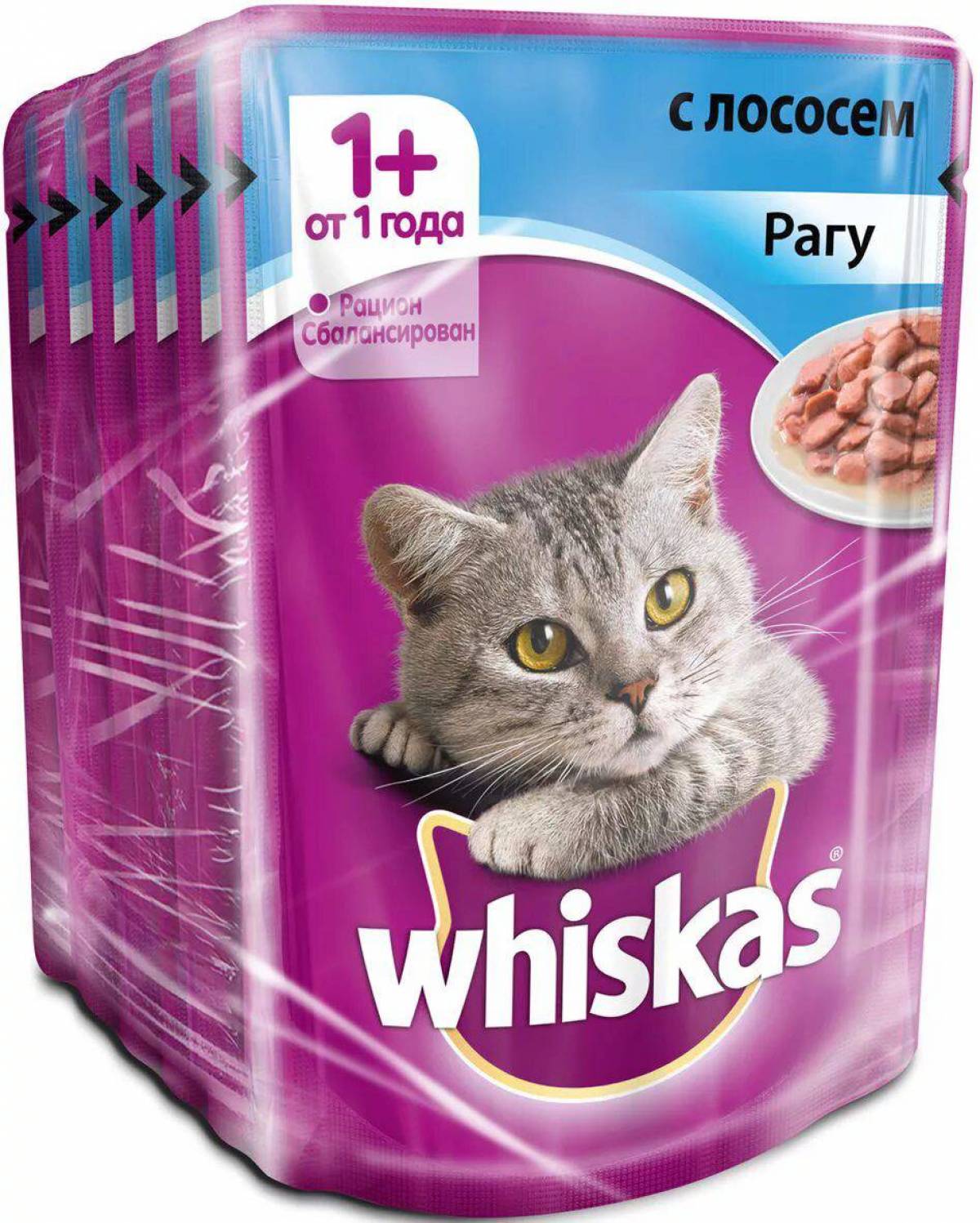 Вискас для котят. Вискас рагу с лососем 85г. Корм для кошек Whiskas с лососем 6шт. Х 85 Г. Вискас корм для кошек паштет 85 гр. Корм вискас рагу лосось 85г.