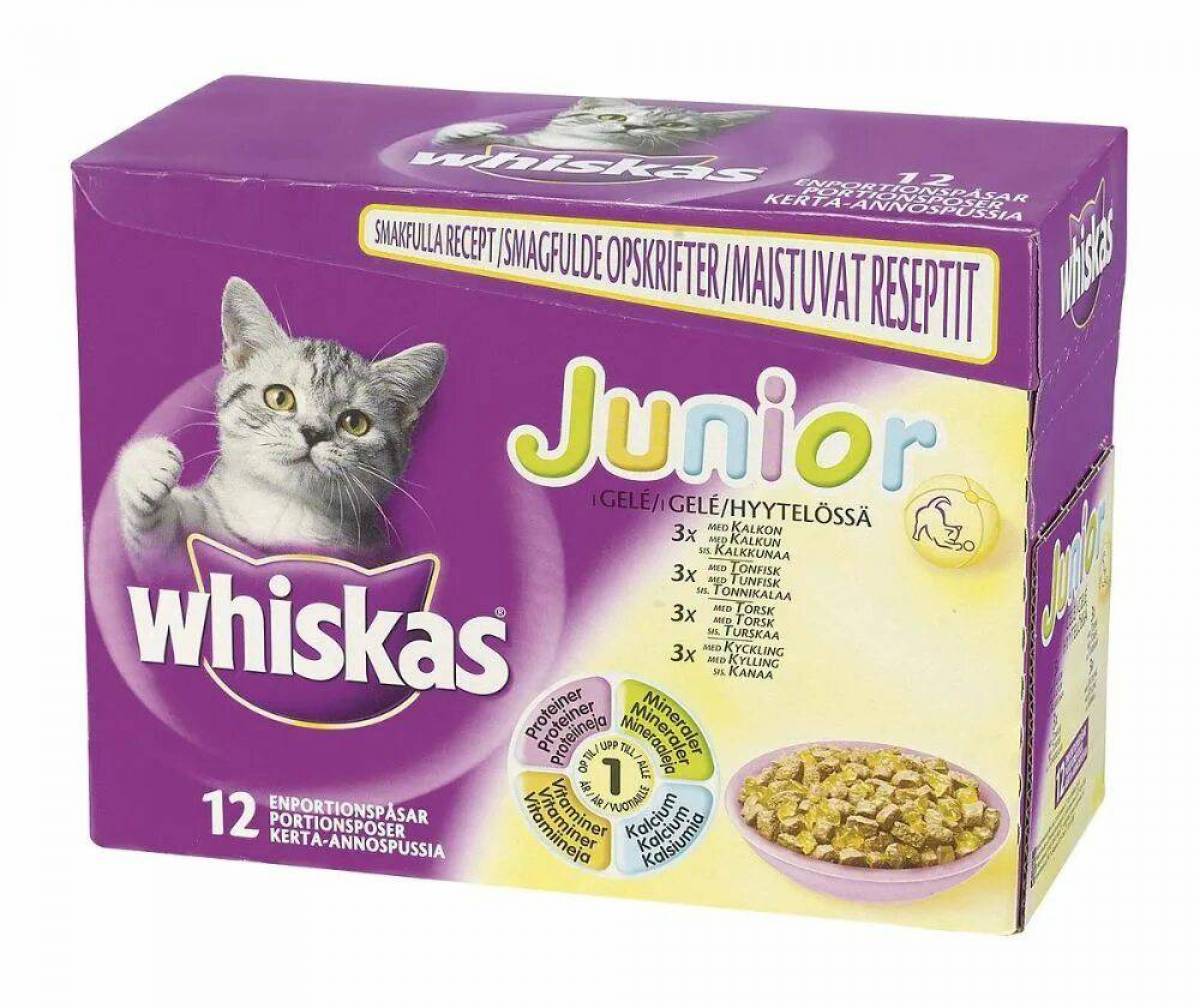 Купить пакетик корма для кошки. Корм для кошек Whiskas. Whiskas жидкий корм. Жидкий корм для котят вискас. Вискас сухой корм для кошек.