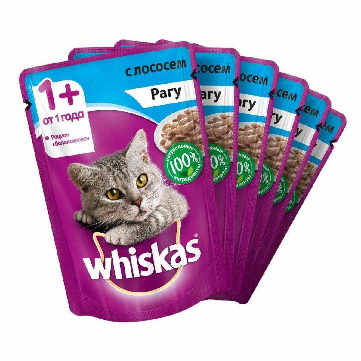 Whiskas. Корм д/кошек вискас 85г лосось рагу. Корм 