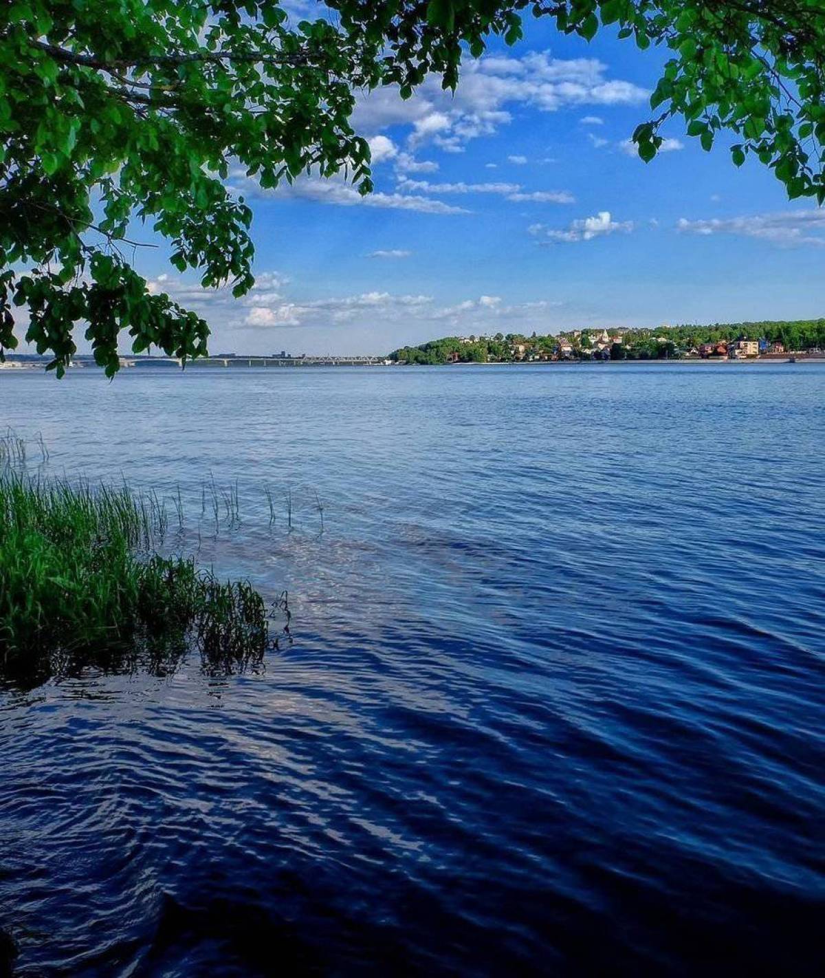 Фото Берега Реки Волги