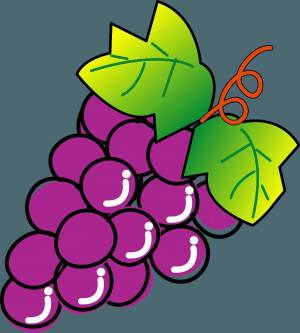 Раскраска виноград для детей #2 #48060