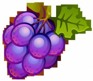 Раскраска виноград для детей #3 #48061