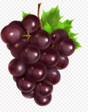 Раскраска виноград для детей #11 #48069