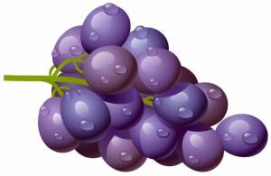 Раскраска виноград для детей #20 #48078