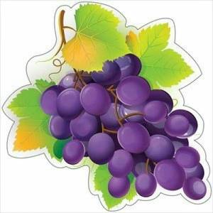 Раскраска виноград для детей #21 #48079