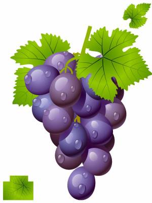 Раскраска виноград для детей #26 #48084