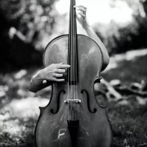 Раскраска виолончель #14 #48131