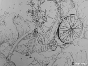 Раскраска вокруг света на велосипеде #24 #50154