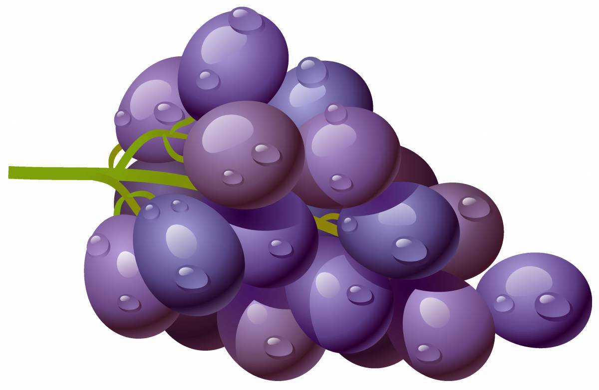 Виноград для детей #20