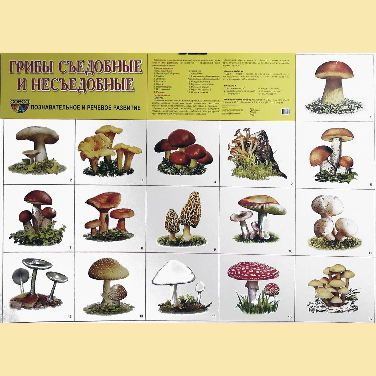Съедобный - несъедобный. Таблица съедобных и несъедобных грибов. Съедобные и несъедобные грибы 5 класс. Съедобные и несъедобные грибы 5 класс. Съедобные грибы и несъедобные грибы 5 класс биология.