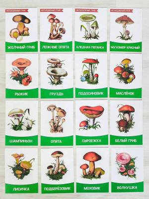 Раскраска съедобные и несъедобные грибы для детей #16 #516051