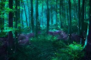 Раскраска таинственный лес #9 #517148