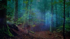 Раскраска таинственный лес #11 #517150