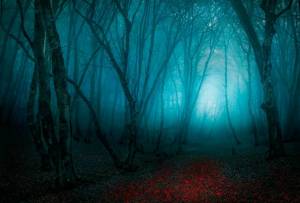Раскраска таинственный лес #19 #517158