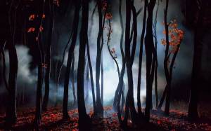 Раскраска таинственный лес #29 #517168