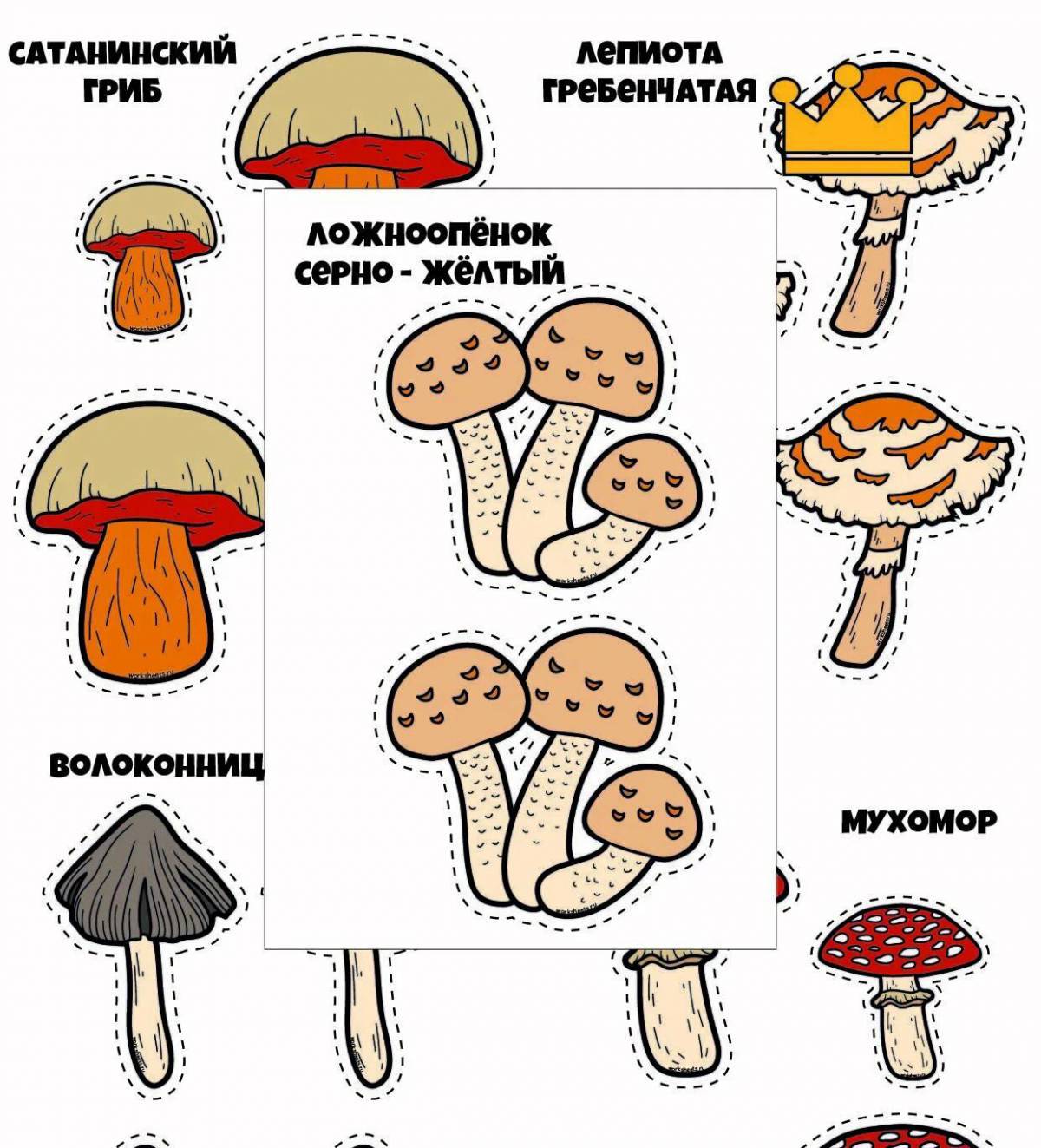Съедобные и несъедобные грибы для детей #4