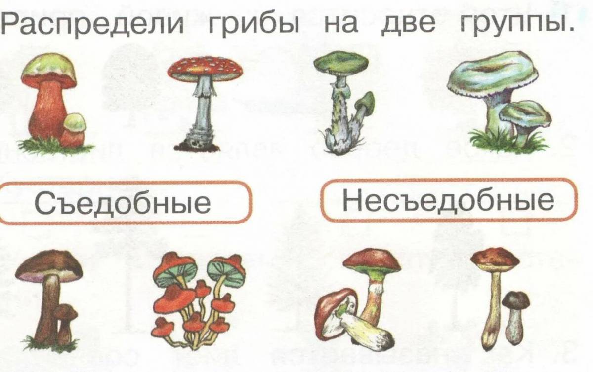 Съедобные и несъедобные грибы для детей #10