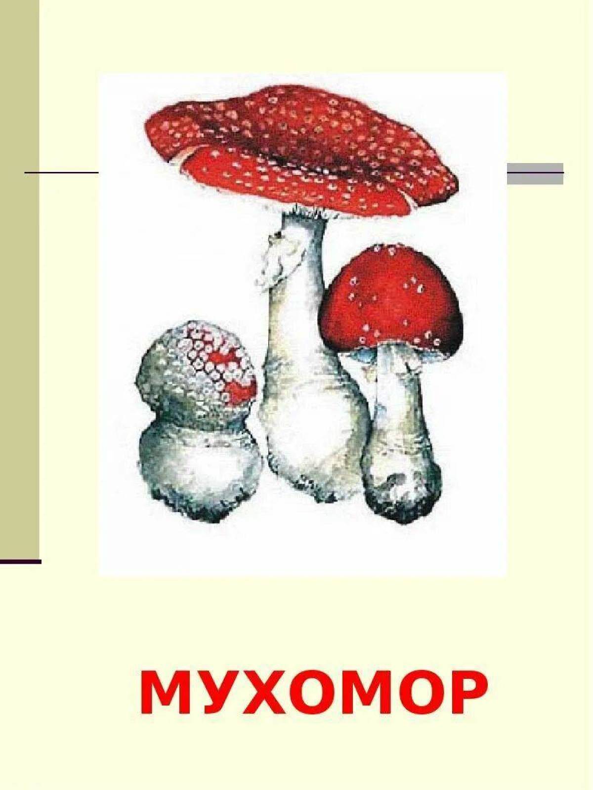 Съедобные и несъедобные грибы для детей #14