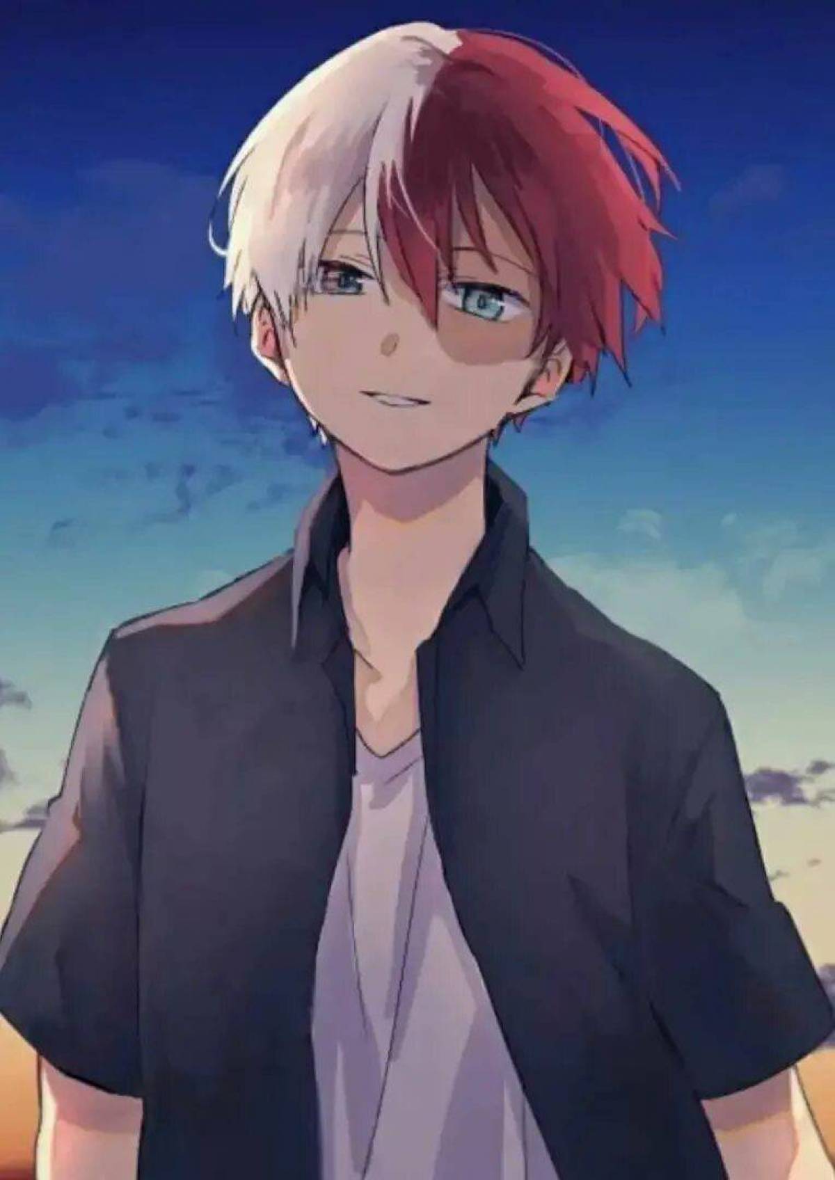 Todoroki reader