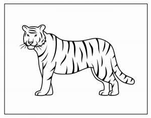 Раскраска тигр для детей 3 4 лет #7 #522354