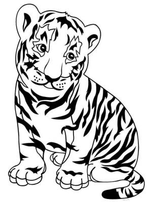Раскраска тигр для детей 6 7 лет #4 #522389