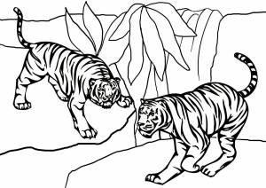 Раскраска тигр для детей 6 7 лет #14 #522399