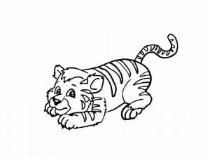 Раскраска тигр для детей 6 7 лет #26 #522411