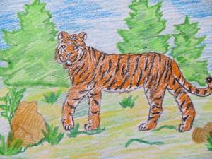 Раскраска тигр для детей 6 7 лет #29 #522414