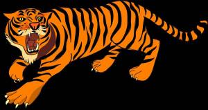 Раскраска тигр для малышей #7 #522428