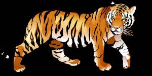 Раскраска тигр для малышей #11 #522432