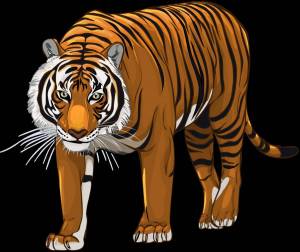 Раскраска тигр для малышей #20 #522441