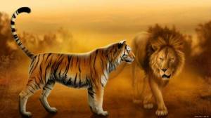 Раскраска тигр и лев #12 #522457