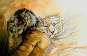 Раскраска тигр и лев #30 #522475