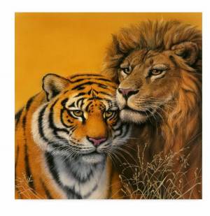 Раскраска тигр и лев #33 #522478
