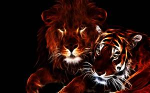 Раскраска тигр и лев #34 #522479