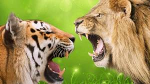 Раскраска тигр и лев #36 #522481