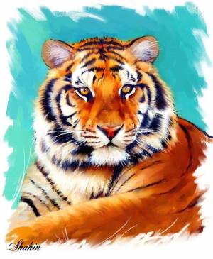Раскраска тигр рисунок #1 #522521