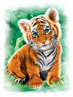 Раскраска тигр рисунок #8 #522528