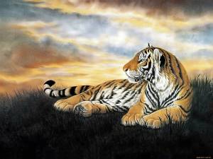 Раскраска тигр рисунок #15 #522535