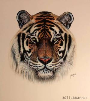 Раскраска тигр рисунок #19 #522539