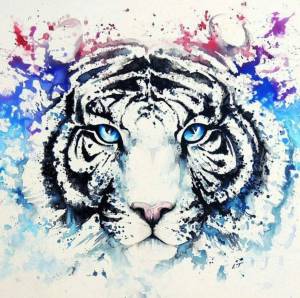 Раскраска тигр рисунок #25 #522545