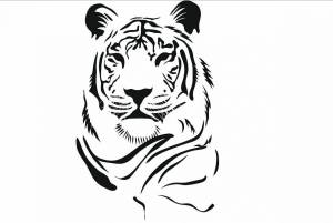 Раскраска тигр рисунок #27 #522547