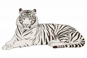 Раскраска тигр рисунок #30 #522550
