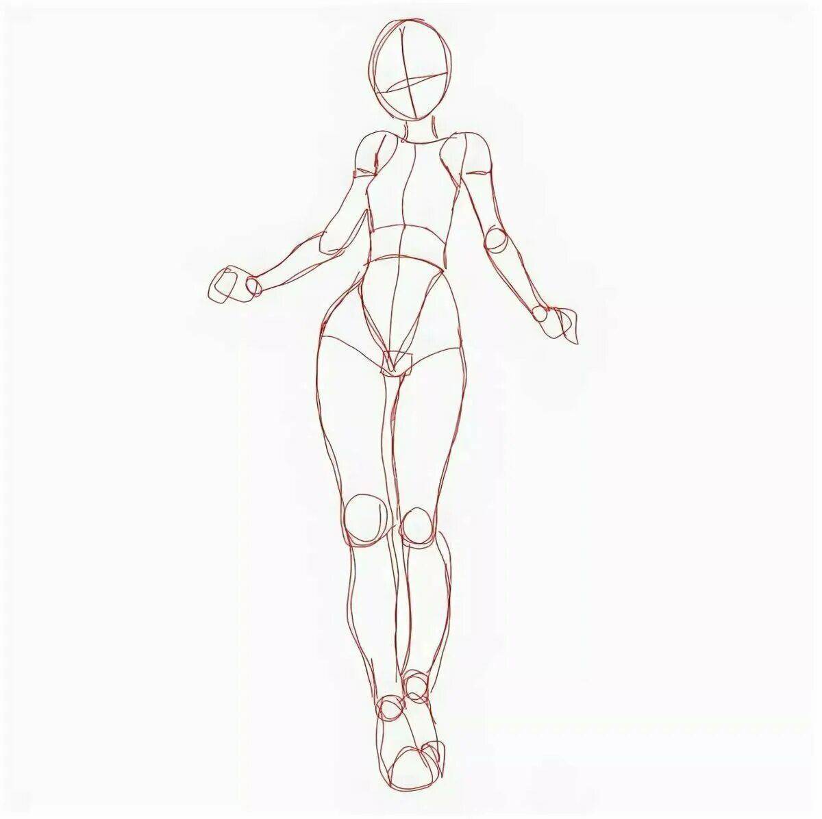 Красивые рисунки тела. Тело для рисования. Тело девушки для рисования. Нарисовать тело. Анатомия девушки для рисования.