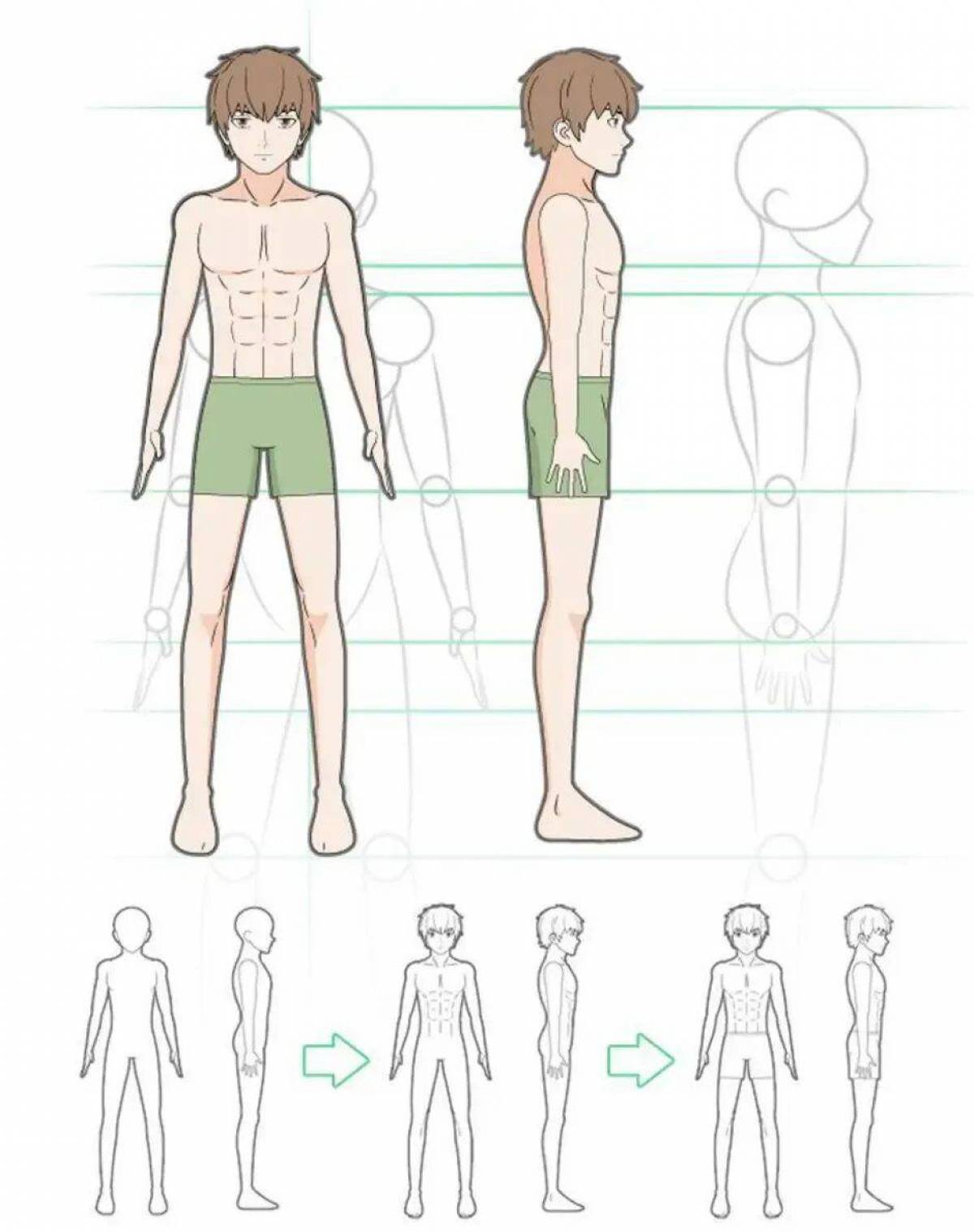 Рисовать роста. Мужское аниме тело для рисования. Аниме туловище. Анатомия аниме мальчиков. Анатомия аниме тела парня.