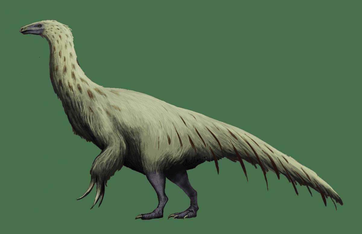 Теризинозавр #26