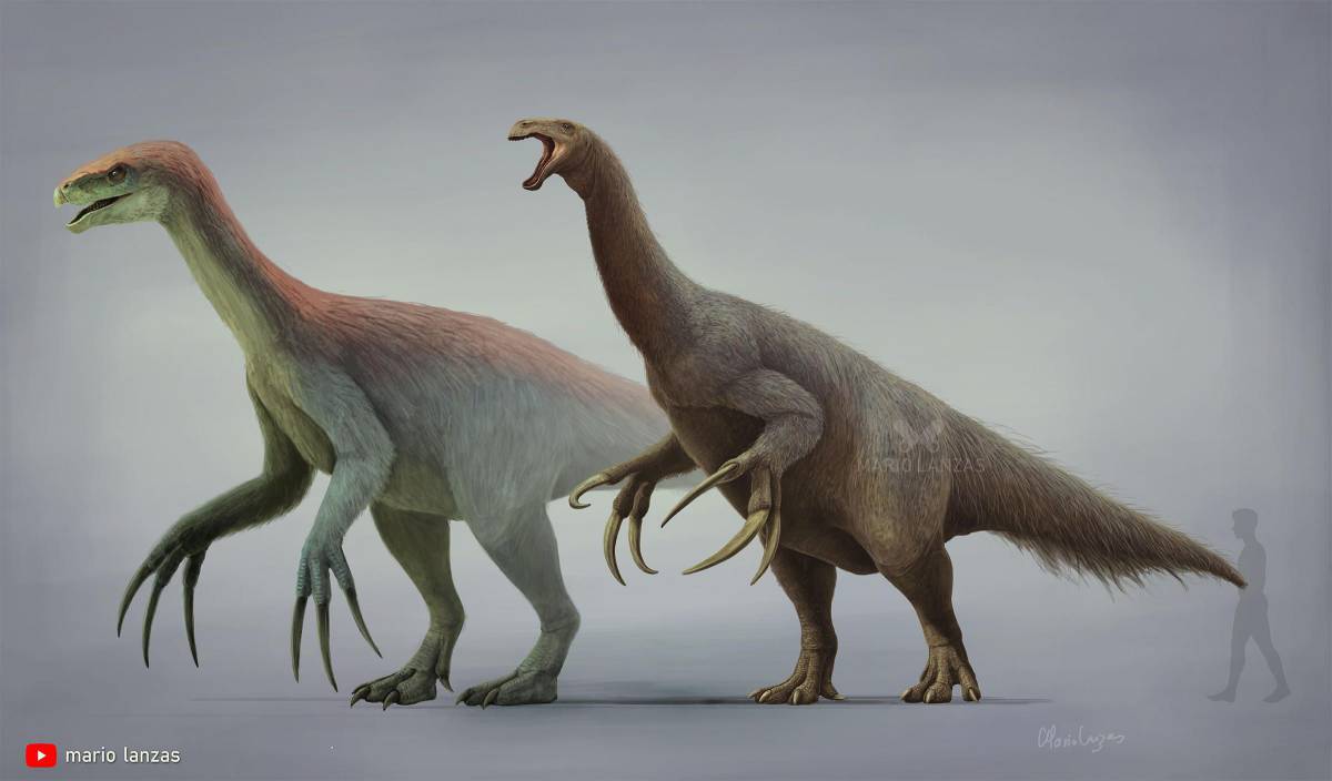 Теризинозавр #29