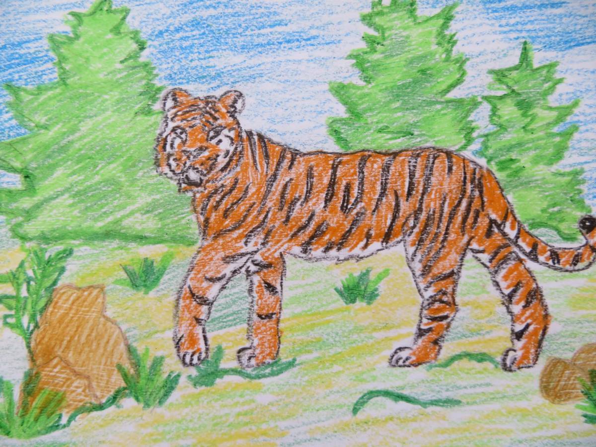 Тигр для детей 6 7 лет #29
