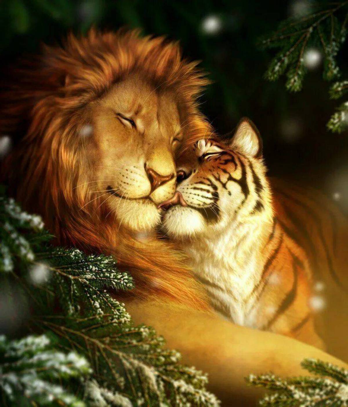 Тигр и лев #4